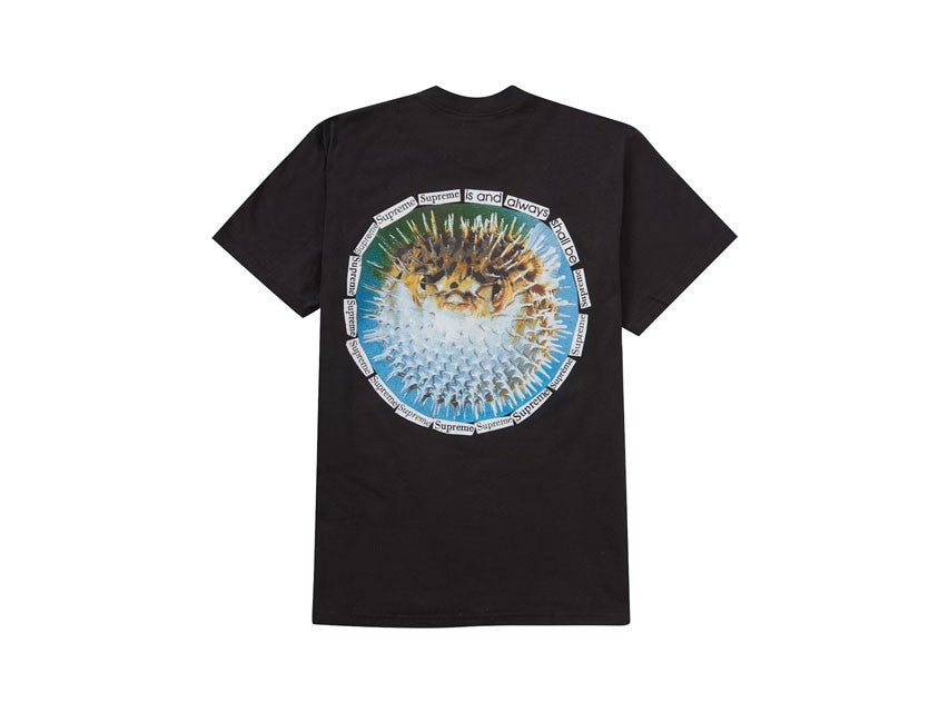 SUPREME BLOWFISH TEE "BLACK"