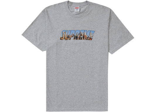 SUPREME GOTHAM TEE GREY