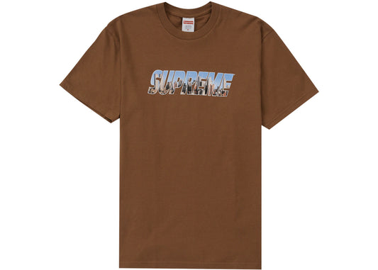 SUPREME GOTHAM TEE BROWN