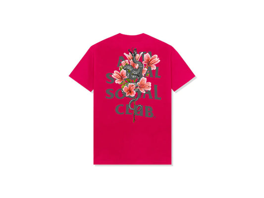 ASSC HOKKAIDO TEE "SANGRIA"