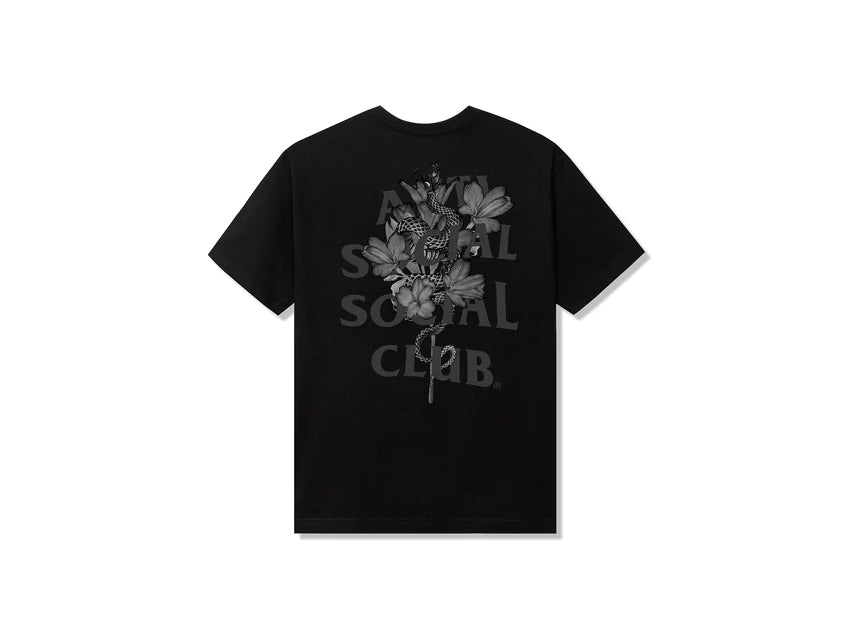 ASSC HOKKAIDO TEE "BLACK"