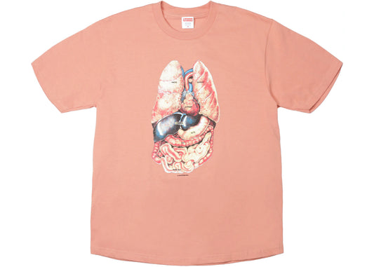 SUPREME GUTS TEE TERRA COTTA